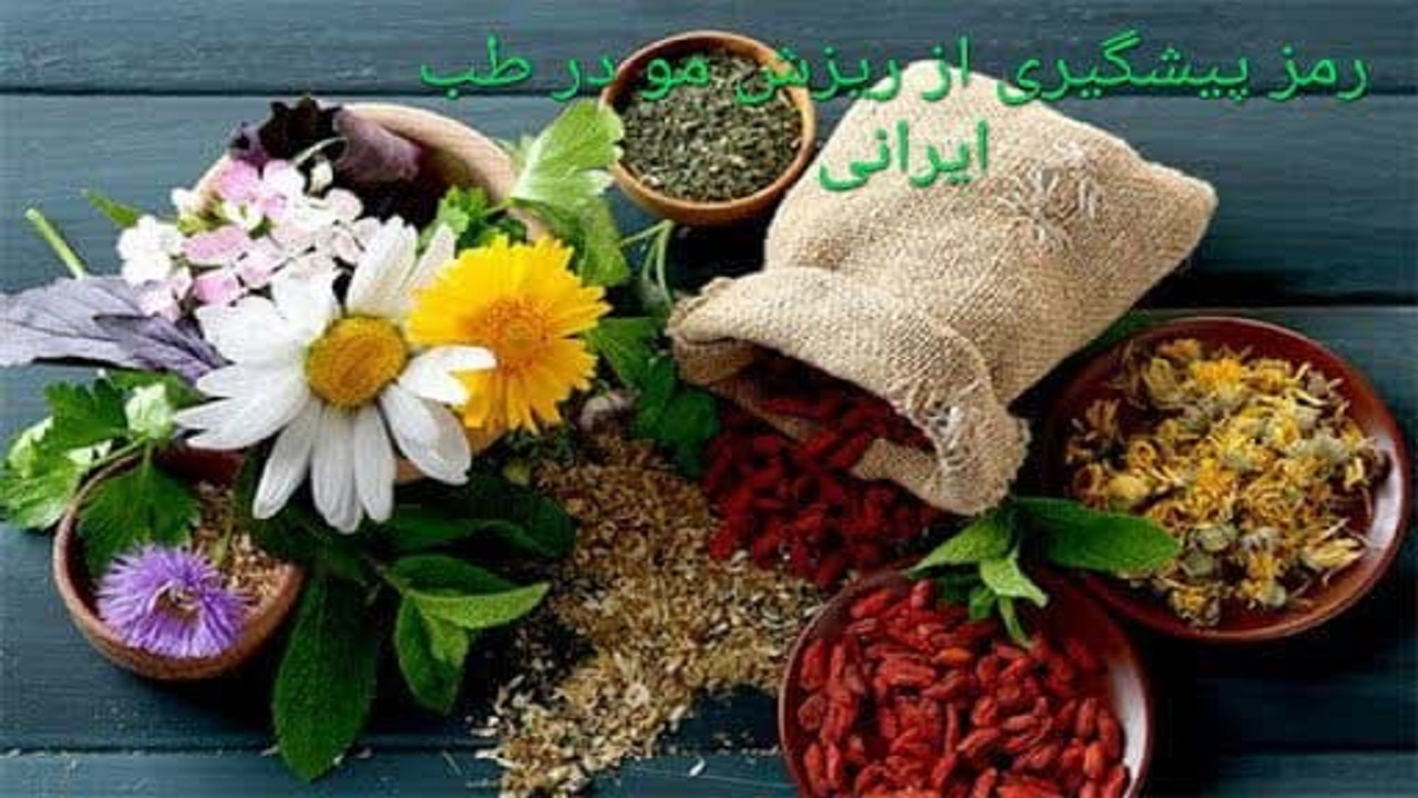 رمز پیشگیری از ریزش مو در طب ایرانی