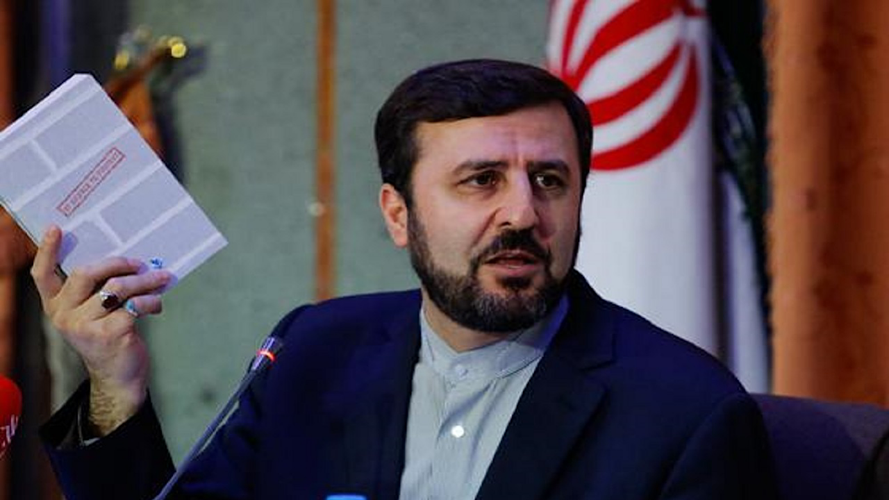 انتقاد غریب آبادی از برخورد خشونت آمیز پلیس فرانسه با اعتراضات مسالمت‌آمیز