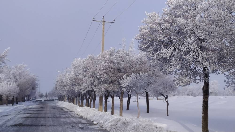 بارش برف زمستانی