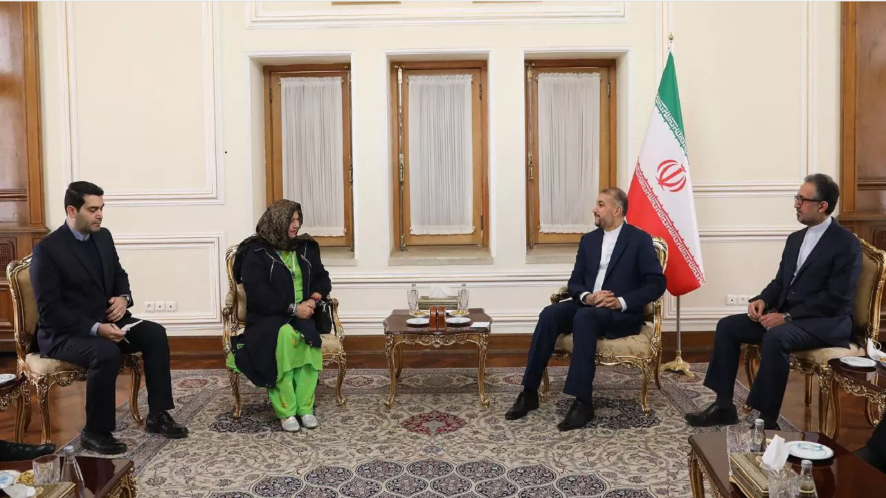 دیدار معاون وزیر امور خارجه ونزوئلا با امیرعبداللهیان