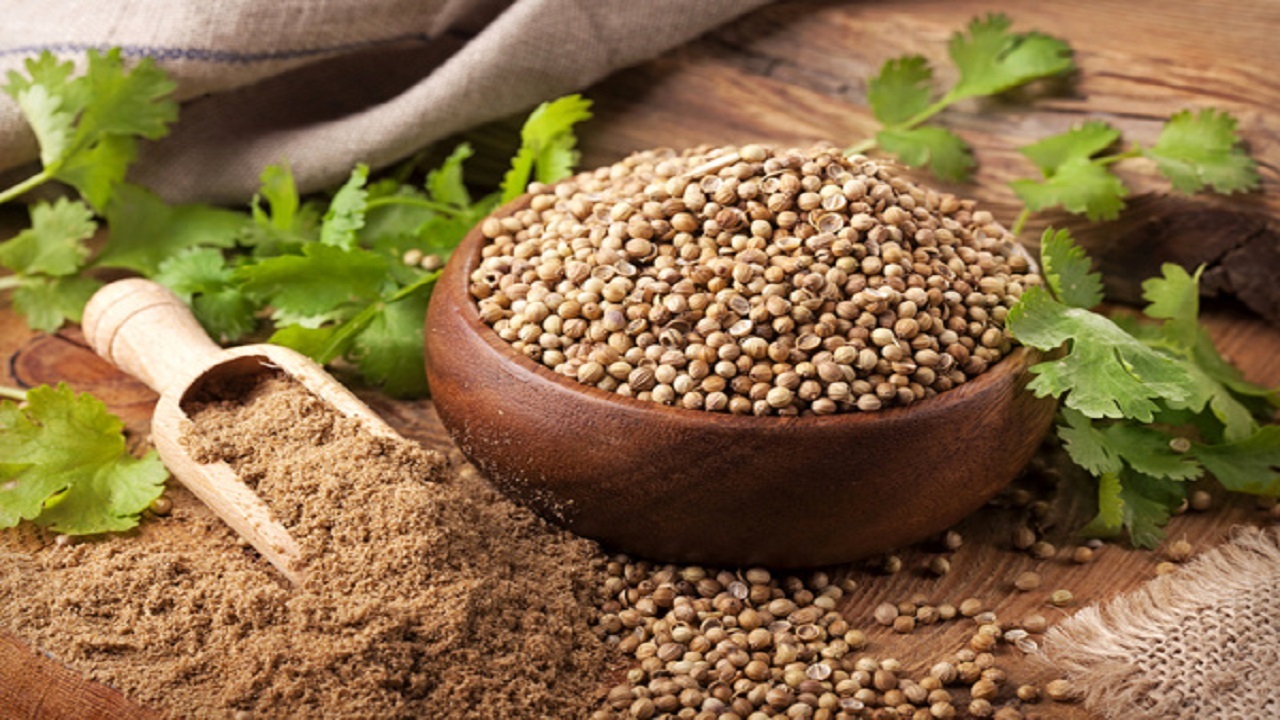 تولید بیش از ۶۰ درصد گشنیز تولیدی کشور در استان همدان