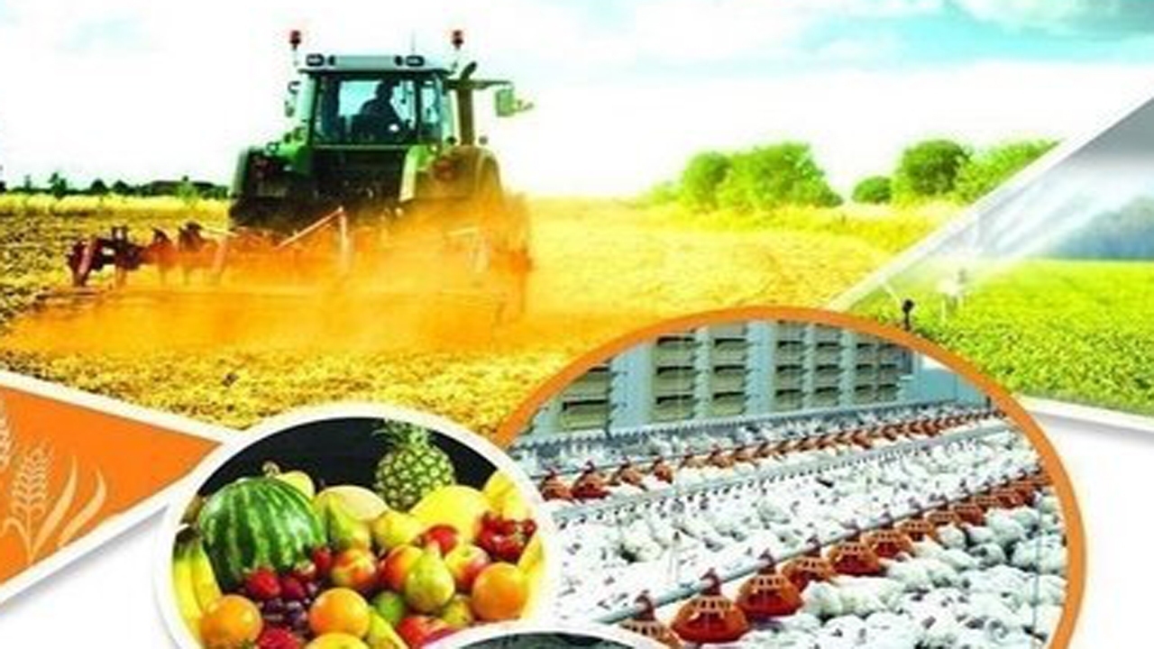 بهره برداری از طرح های کشاورزی در شهربابک