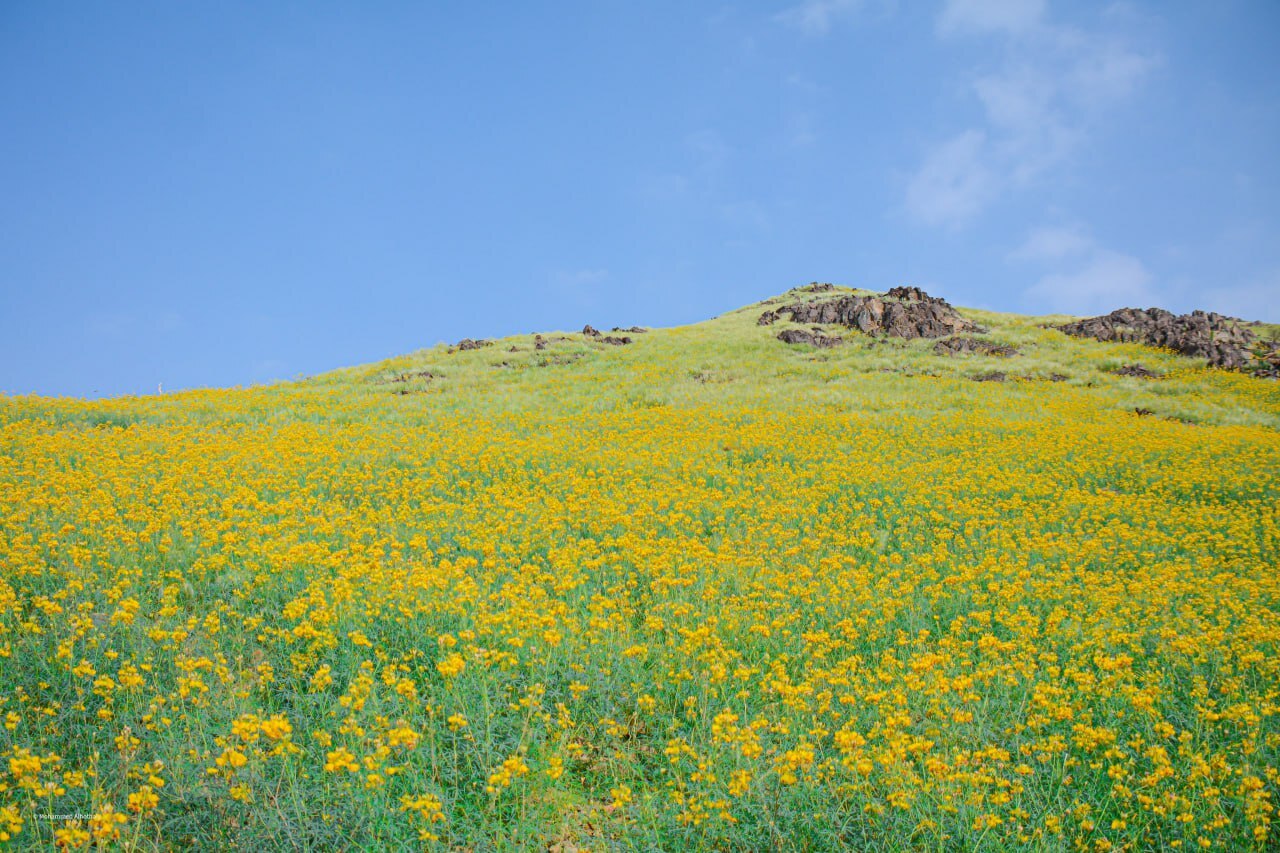 کوه&zwnj;های اطراف مکه