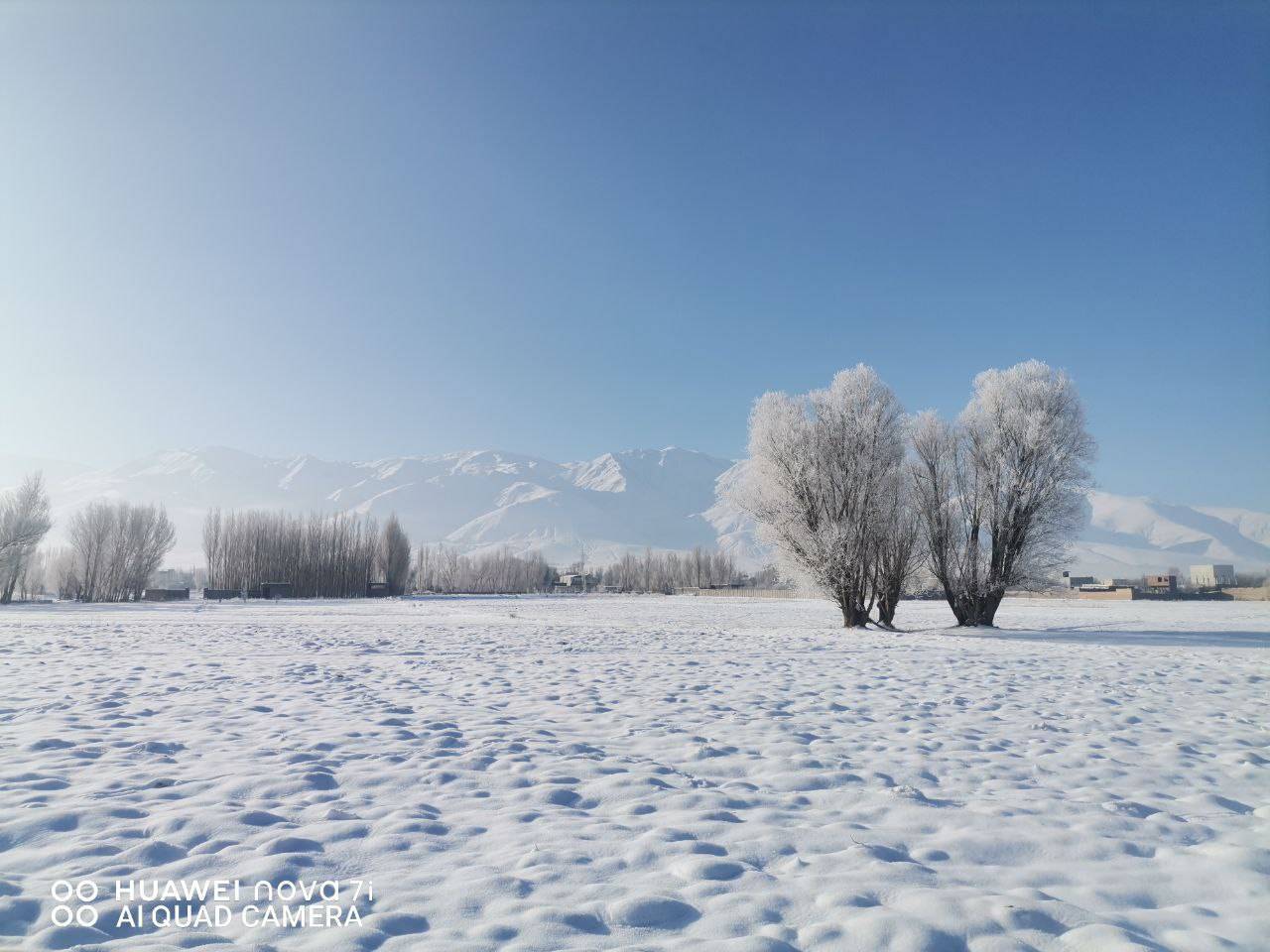طبیعت زمستانی