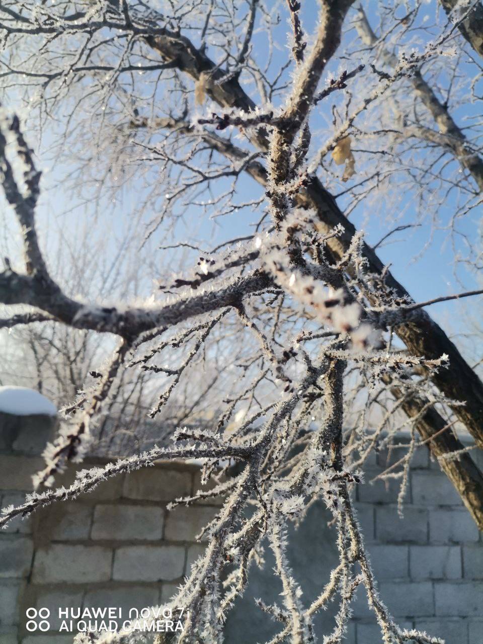 زمستان برفی