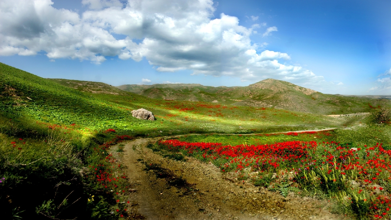 ثبت املاک ۳۰۰ روستای بزرگ در خراسان رضوی