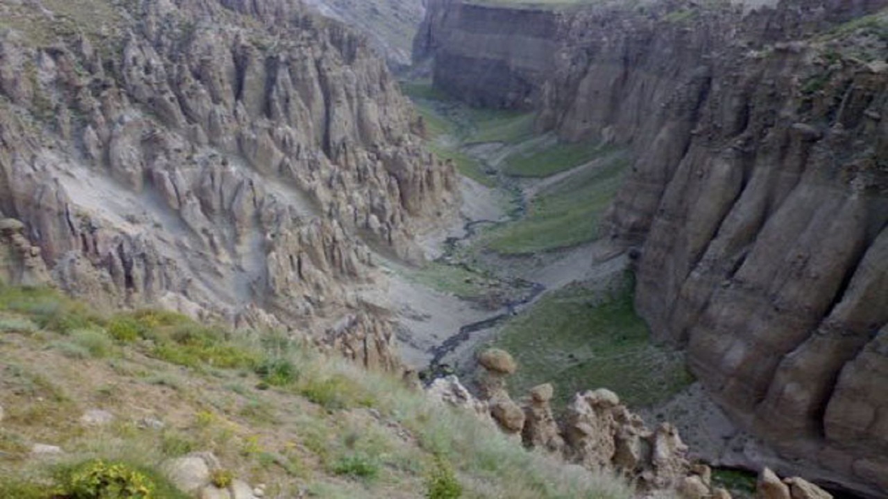 توجه به حفاظت مشارکتی در مناطق تحت مدیریت استان اردبیل