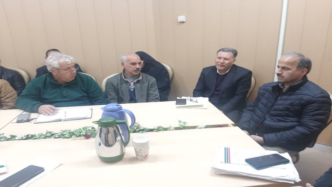 سرشاخه کاری ۲۰ هزار اصله درخت قدیمی گردو در قزوین