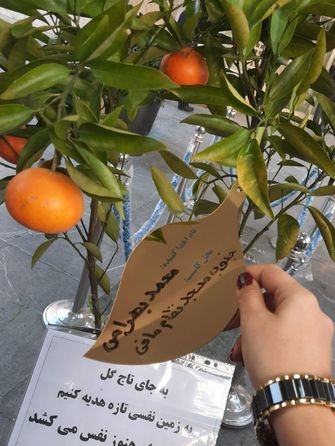 نهالی برای اموات