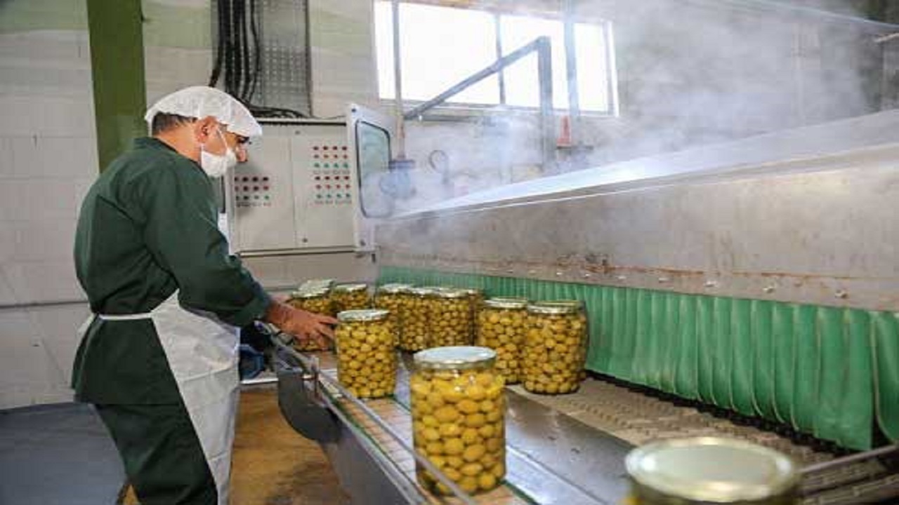 راه اندازی ۳ واحد صنایع تبدیلی و غذایی در خوزستان