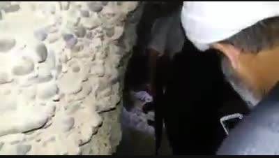 زندان امام هادی