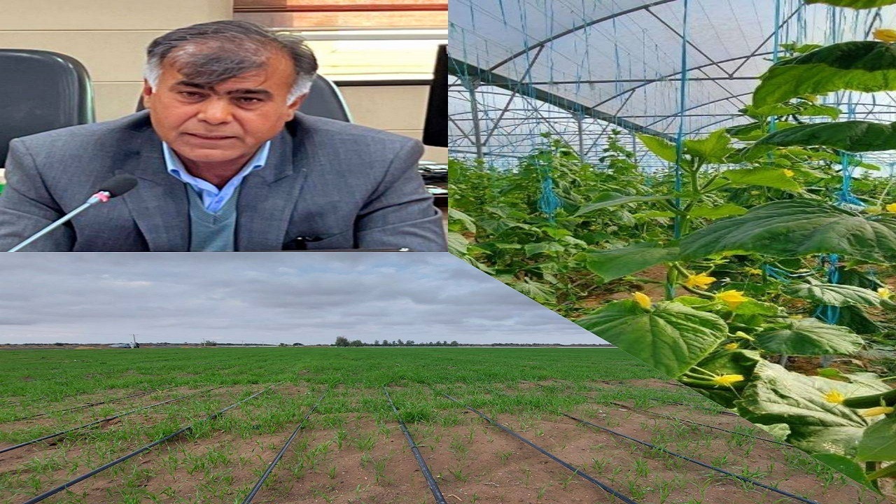 مهلت بیمه محصولات زراعی و باغی تا ۱۵ بهمن ماه تمدید شد