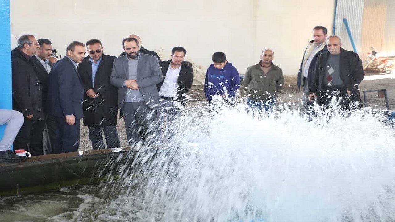 احیای ۶ واحد راکد تولید آبزیان در اردبیل/ تسهیلات تبصره ۱۶ به پروژه‌های شیلات پرداخت می‌شود