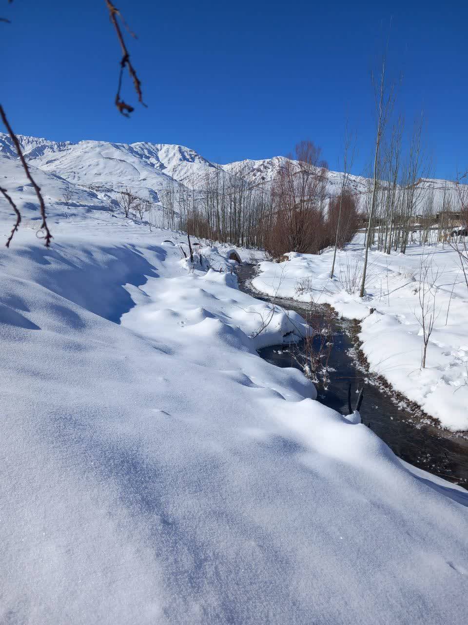 بارش برف زمستانی