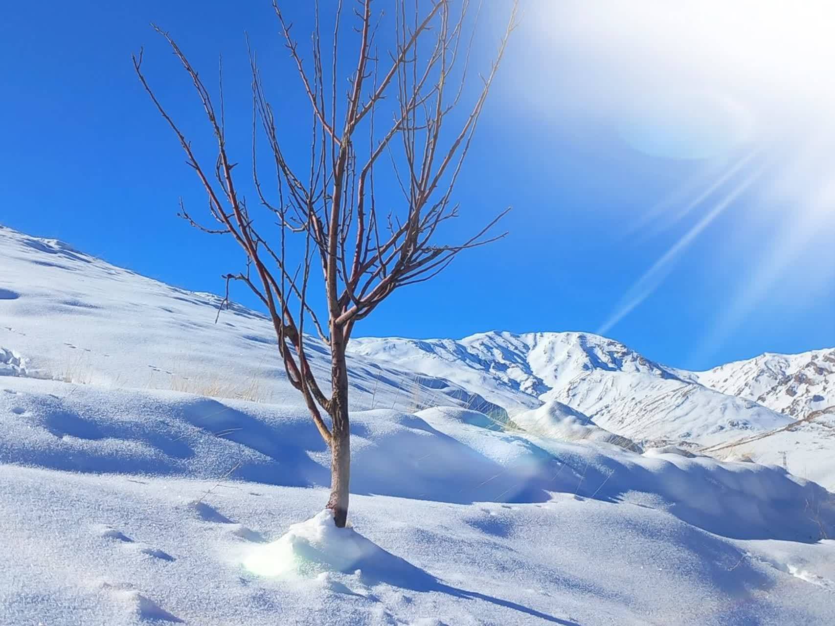 فصل زمستان