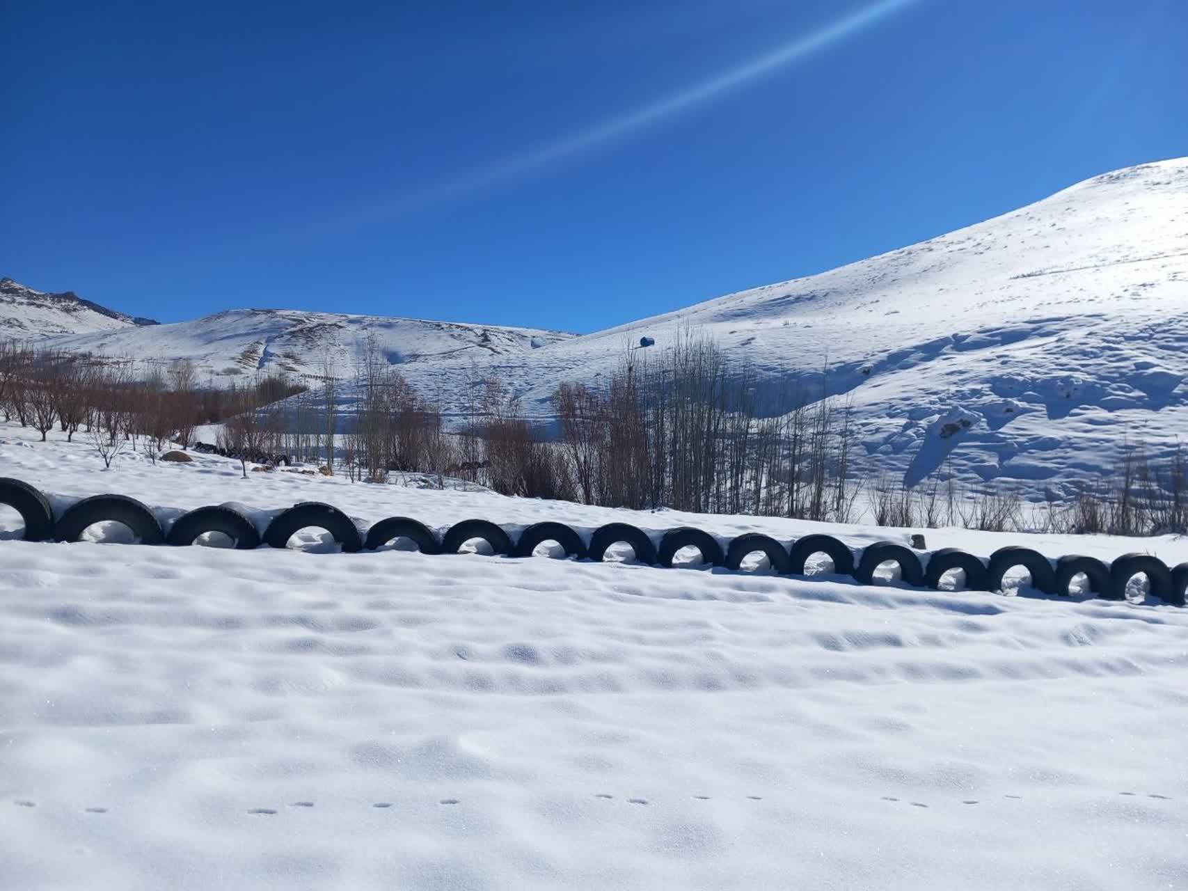 طبیعت زمستانی