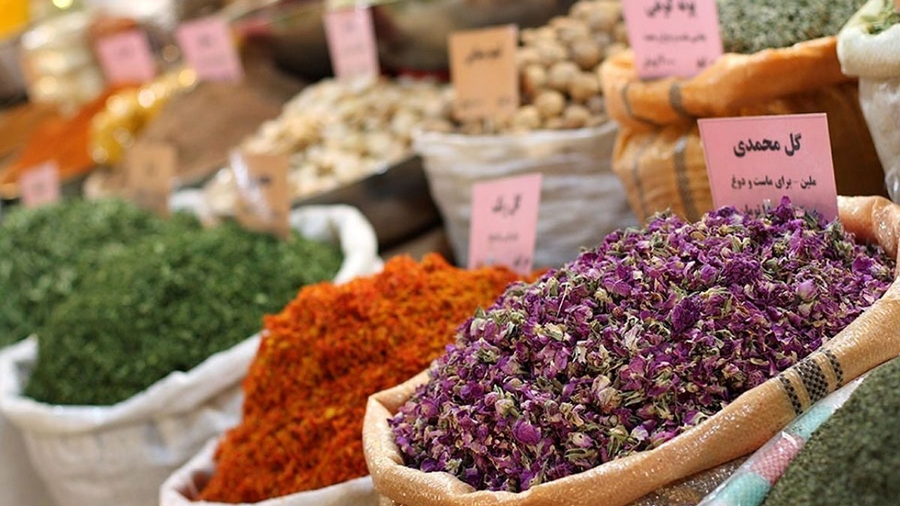 برگزاری جشنواره طب ایرانی با مشارکت ۲۰۳۵ نفر