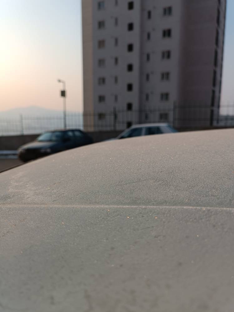 پردیس