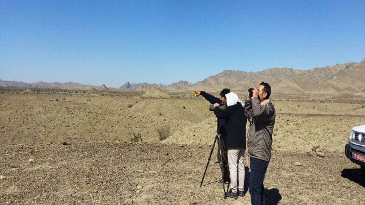 ۳۴سایت زمستان گذرانی در سیستان و بلوچستان وجود دارد