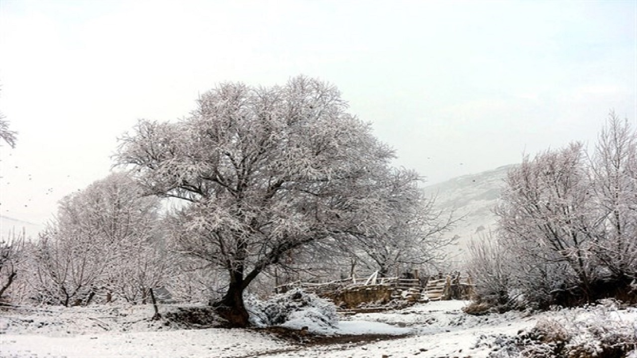 نمایی از یک روز زمستانی در روستای توآباد + فیلم