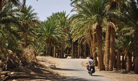 زیباترین کویرهای ایران کجا قرار دارند؟