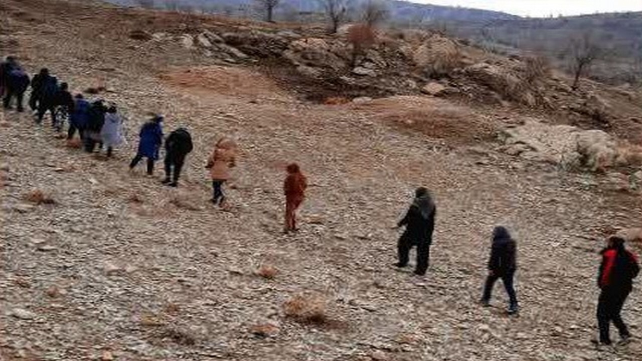 برگزاری برنامه پیاده روی در طبیعت