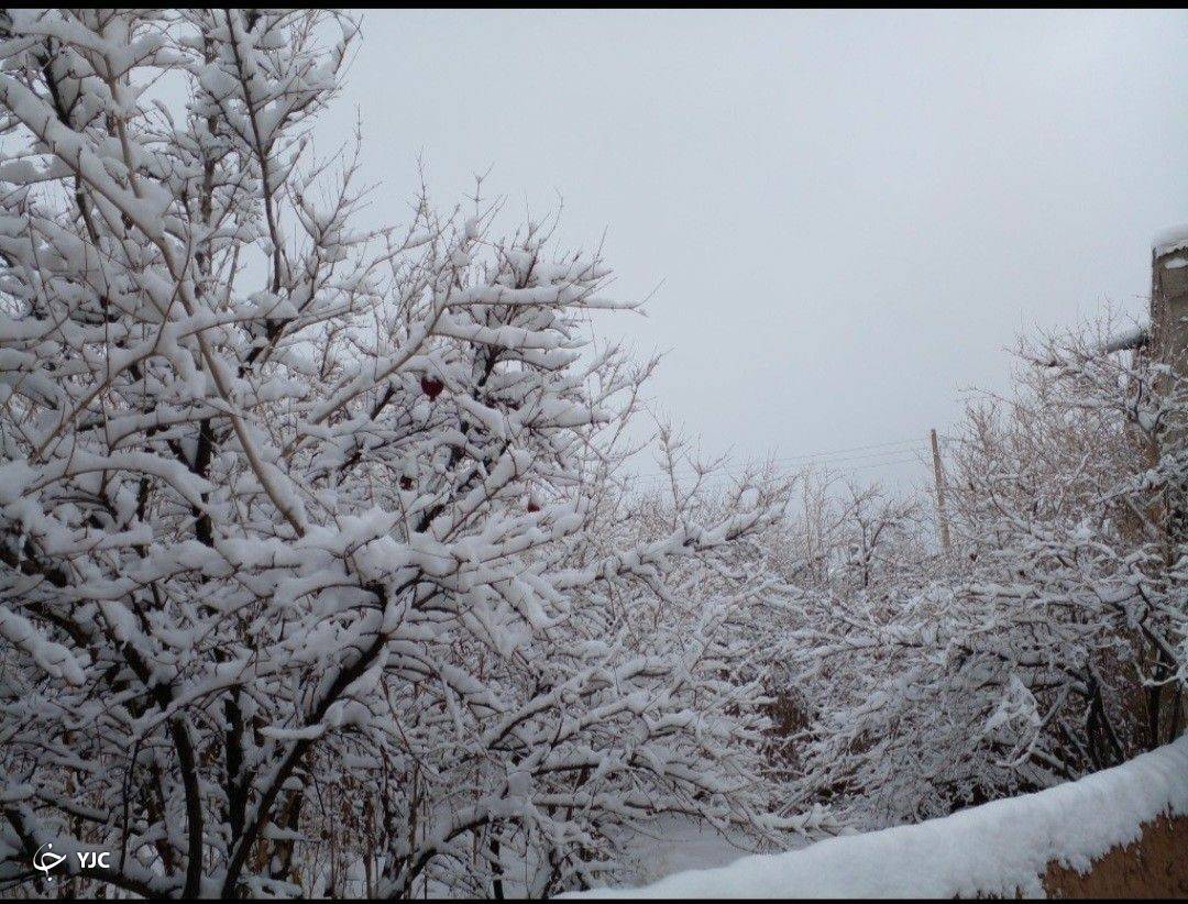 بارش برف در کرمان