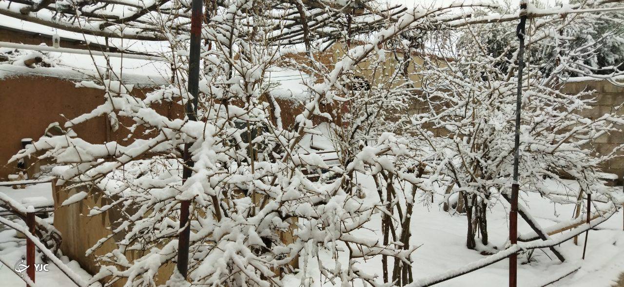 بارش برف در کرمان