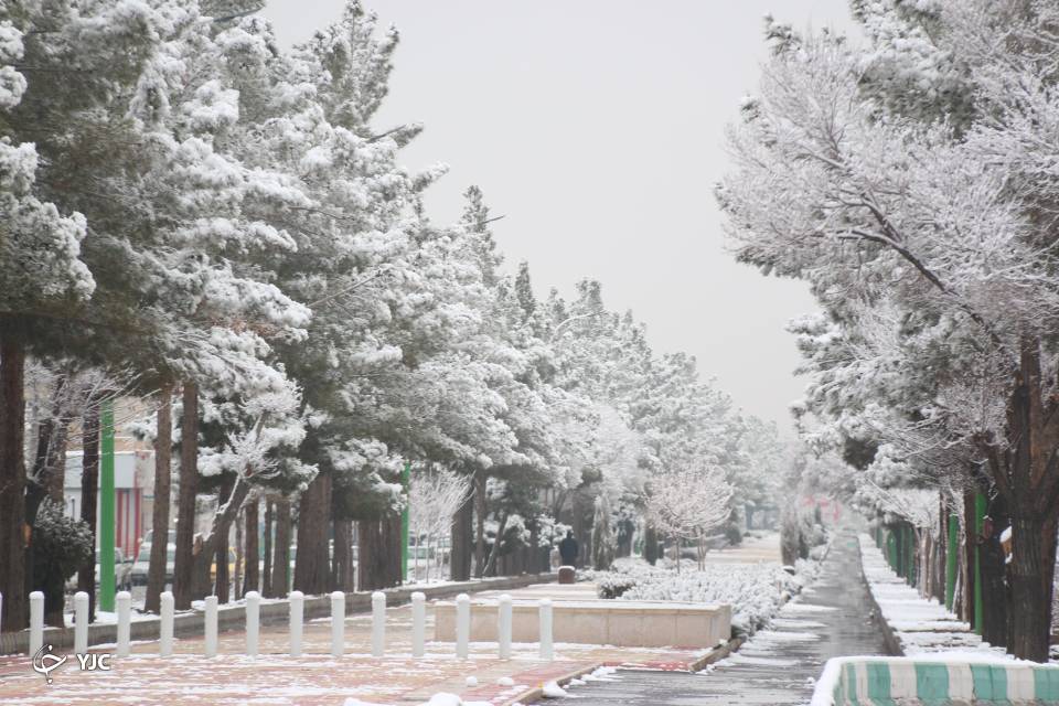 بارش برف در رفسنجان