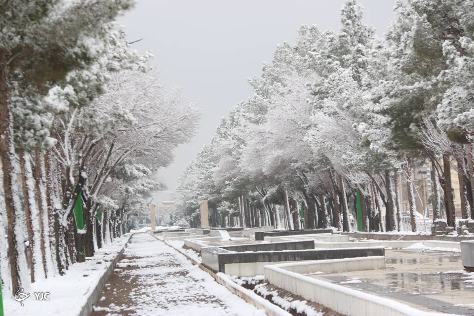 بارش برف در رفسنجان&nbsp;