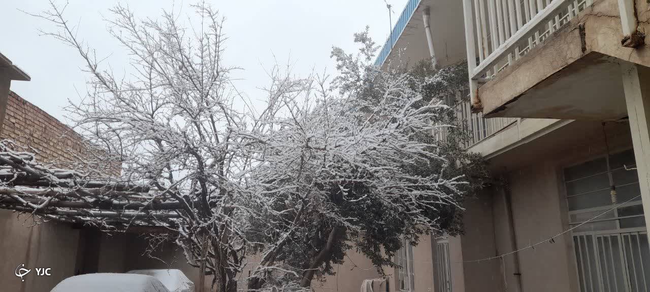 بارش برف در کرمان&nbsp;