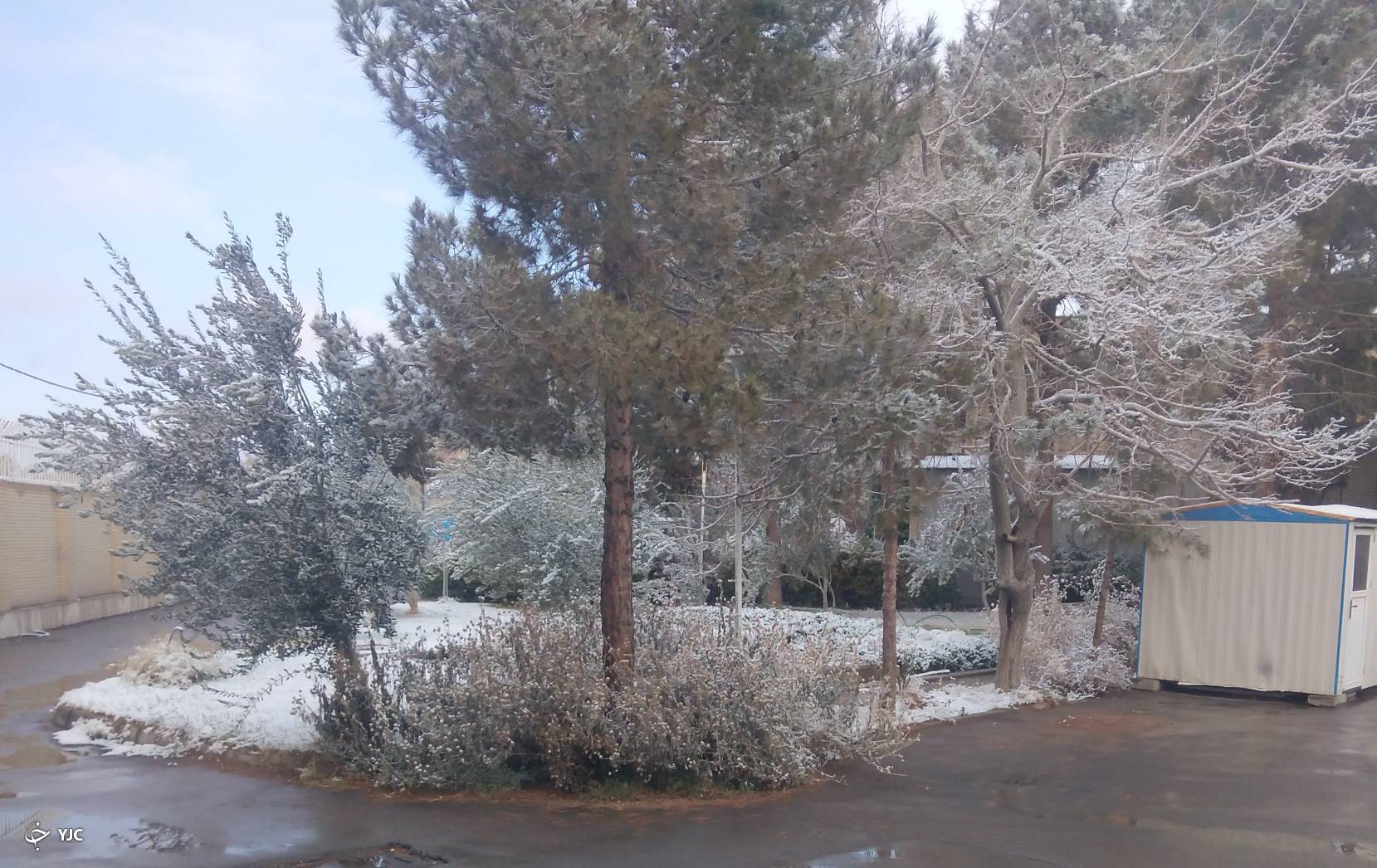 بارش برف در کرمان&nbsp;