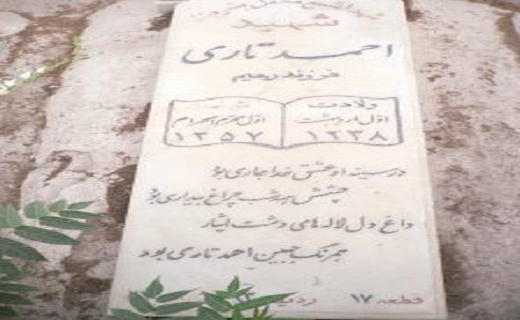 شهید