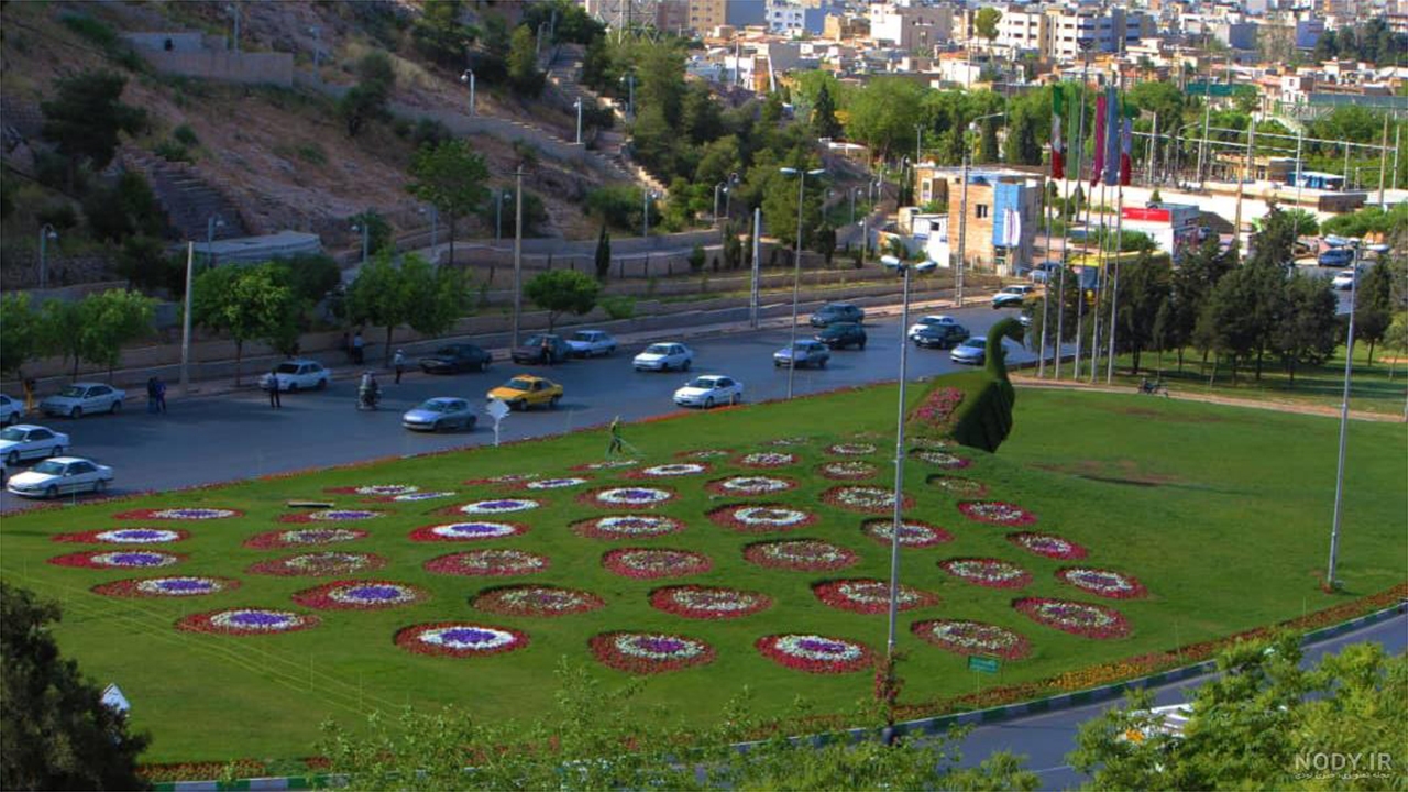 طاووس شیراز، همان طاووس قدیم می‌شود