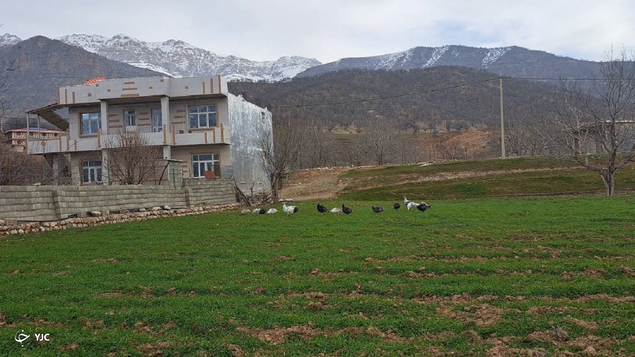 بهار بازفت در زمستان ۱۴۰۱
