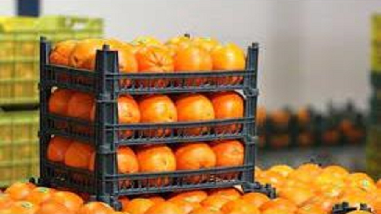 متعادل‌تر شدن قیمت مرکبات با افزایش تولید