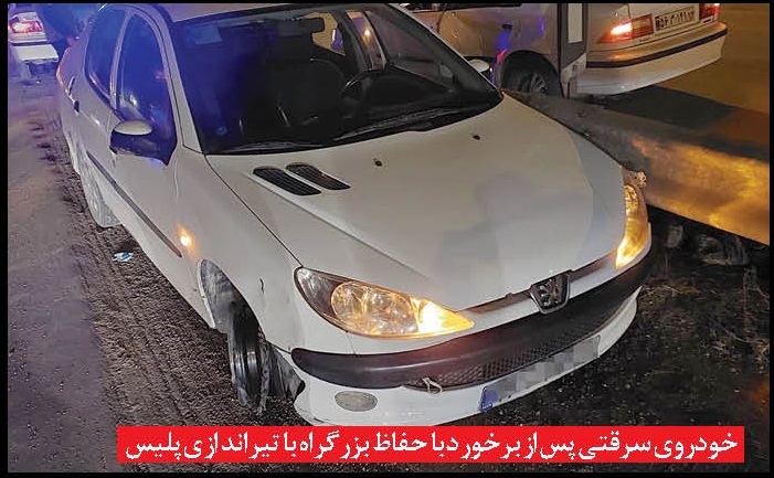 باند سرقت مسلحانه &laquo;سیاه&raquo; متلاشی شد + نصاویر