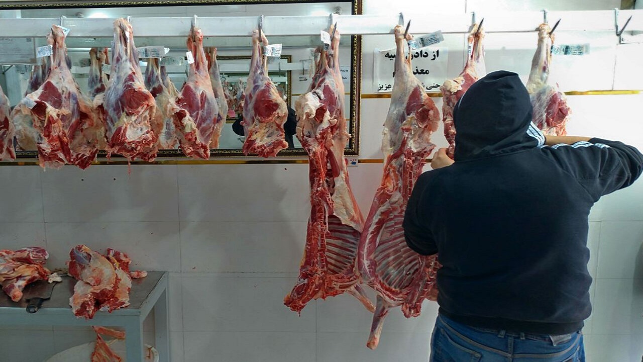محدودیتی در توزیع گوشت قرمز برای بازار قزوین وجود ندارد