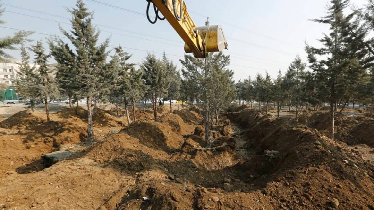 جابجایی ۱۲۰۰ اصله درخت در جنوب تهران