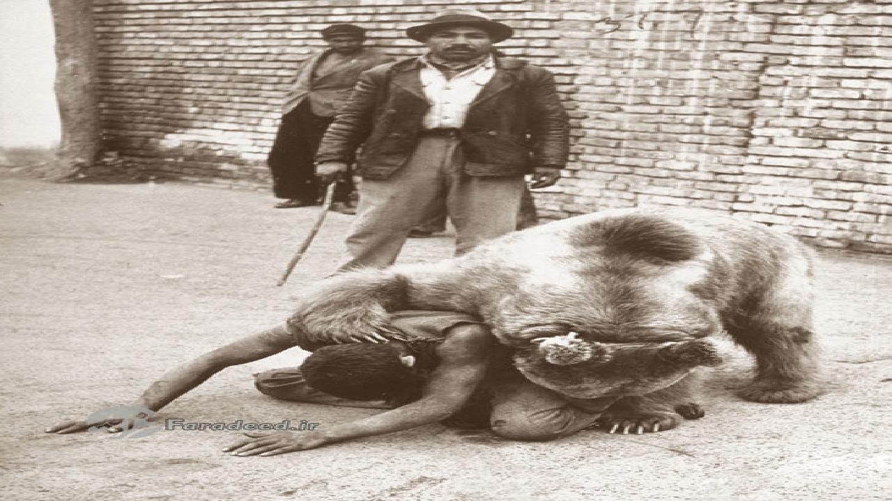 کشتی با خرس یکی از سرگرمی‌های طهران قدیم