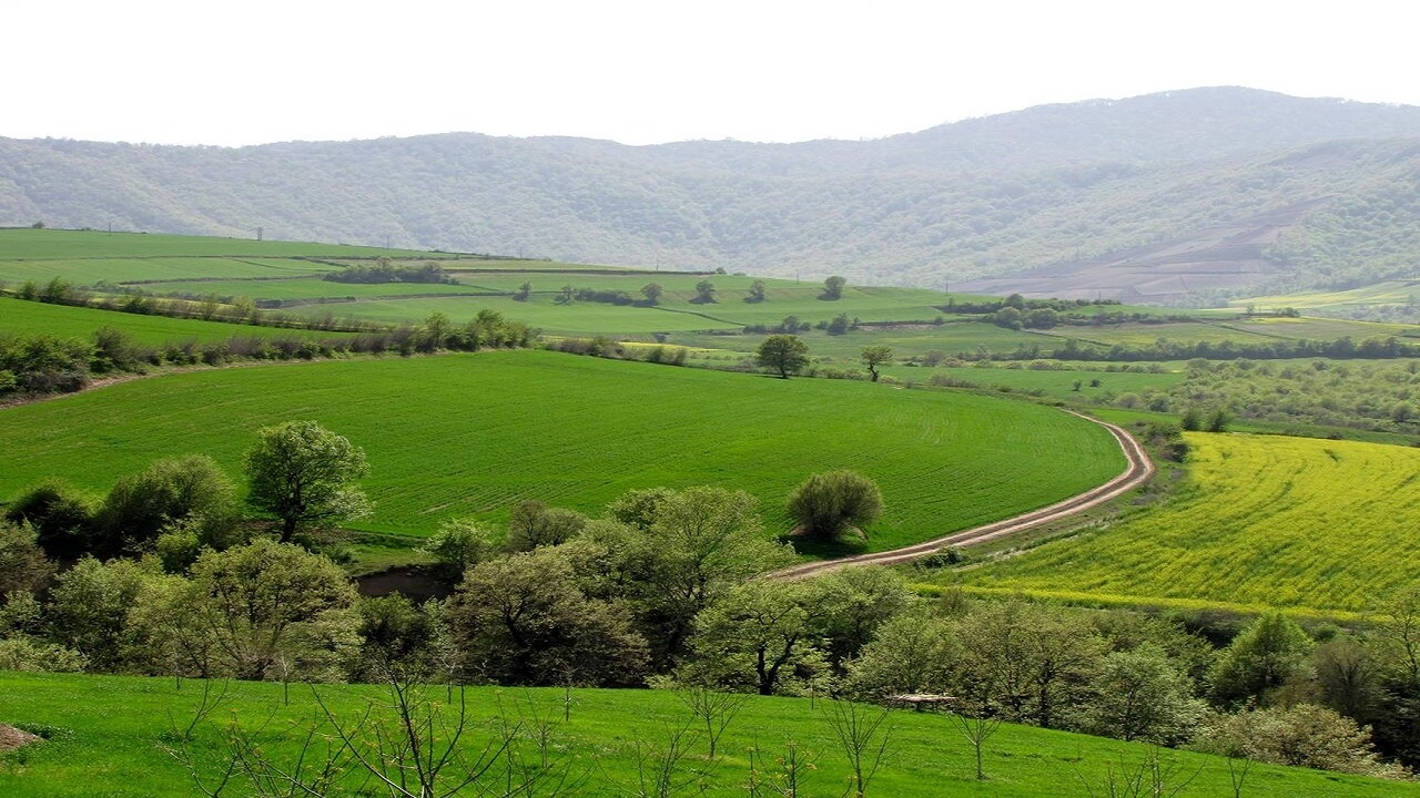 ۱۰۰ درصد اراضی منابع طبیعی گلستان صاحب سند شد