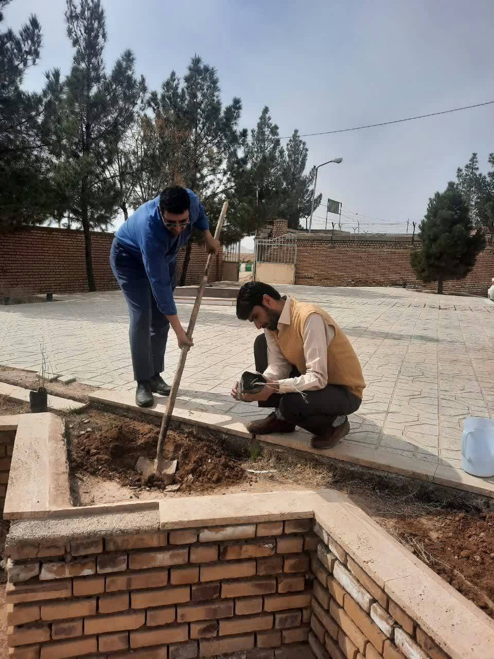کاشت نهال در هفته درختکاری بجستانی ها با کاشت نهال به استقبال بهار رفتند + تصاویر