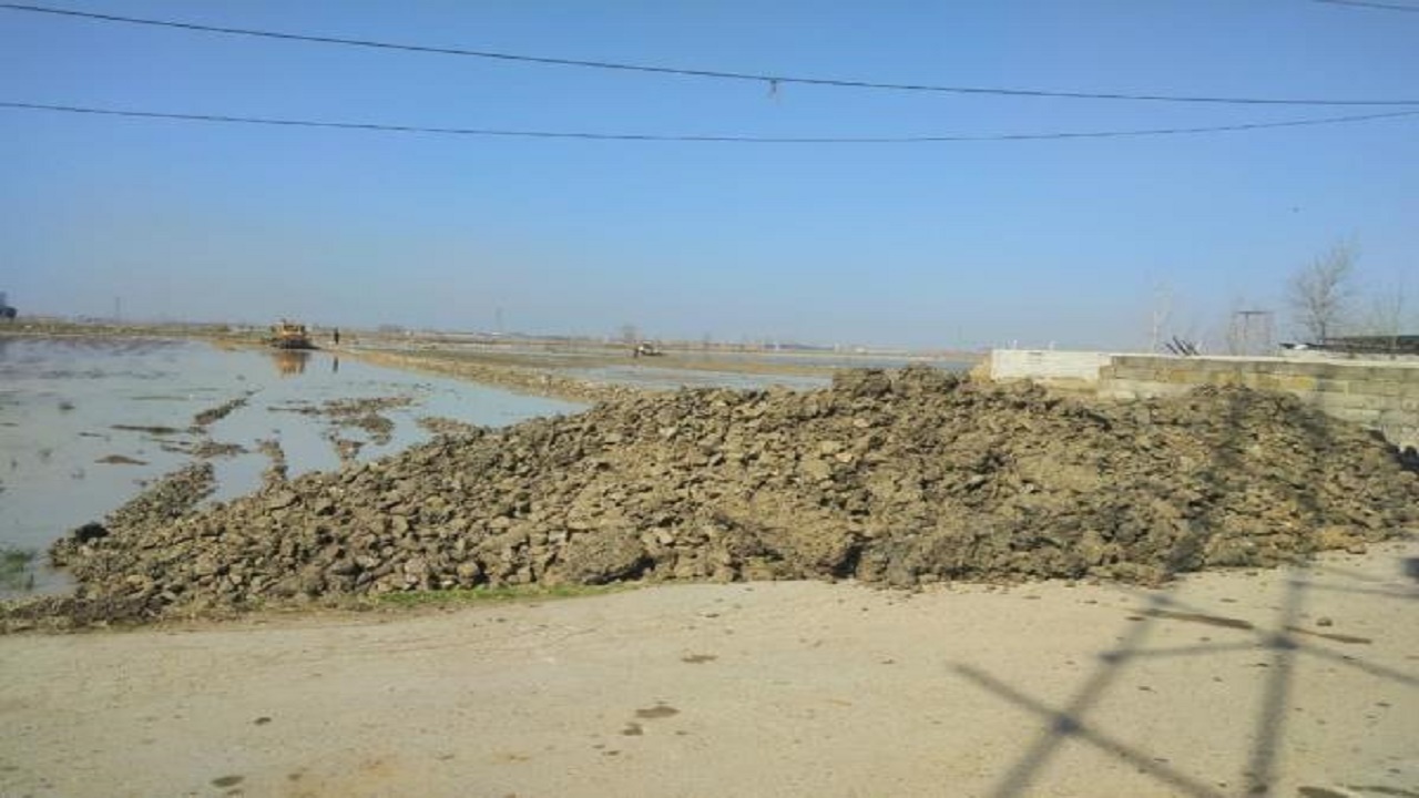 بازگشت یک هکتار زمین شالیزاری بابل به چرخه تولید