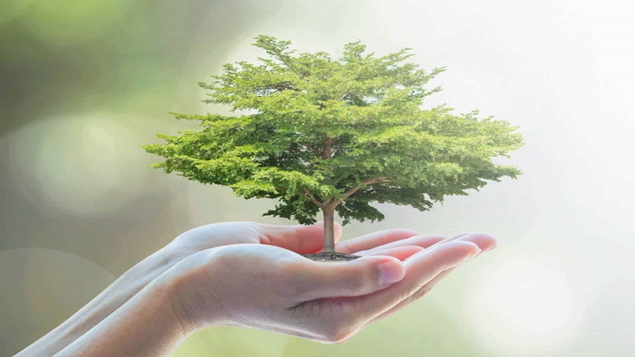 ۱۰ هزار اصله نهال در شهرکرد کاشته می‌شود