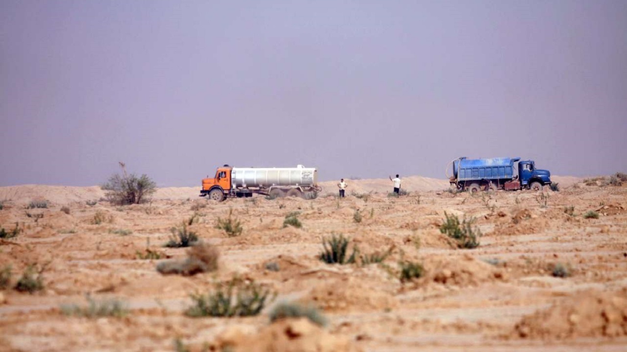 آبیاری ۴ میلیون اصله نهال خوزستان با زهاب‌های نیشکری