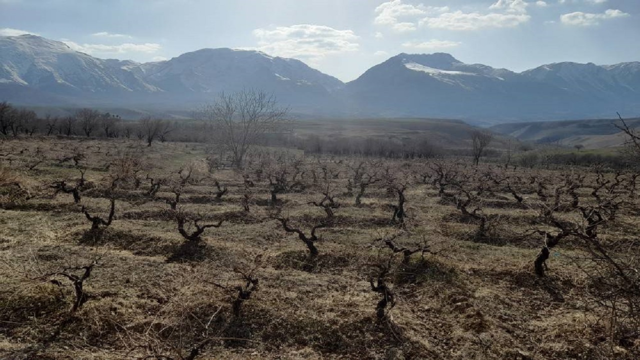 طبیعت زمستانی باغ‌های روستای جغدان در قالب تصاویر