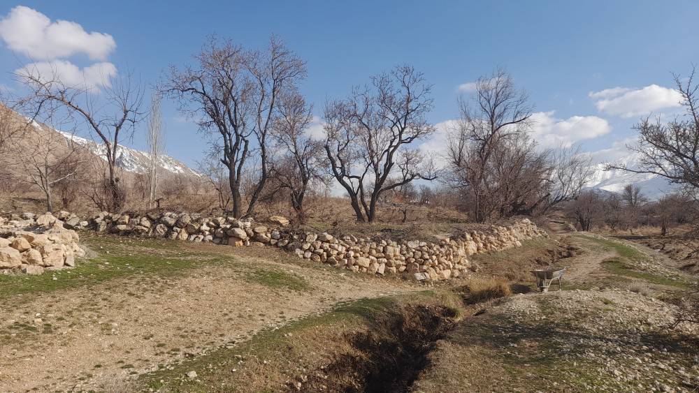طبیعت زمستانی درختان طبیعت زمستانی درختان