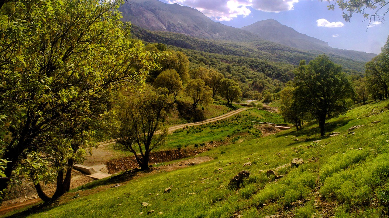 گسترش پوشش گیاهی اصفهان با تولید ۳۰۰ هزار نهال