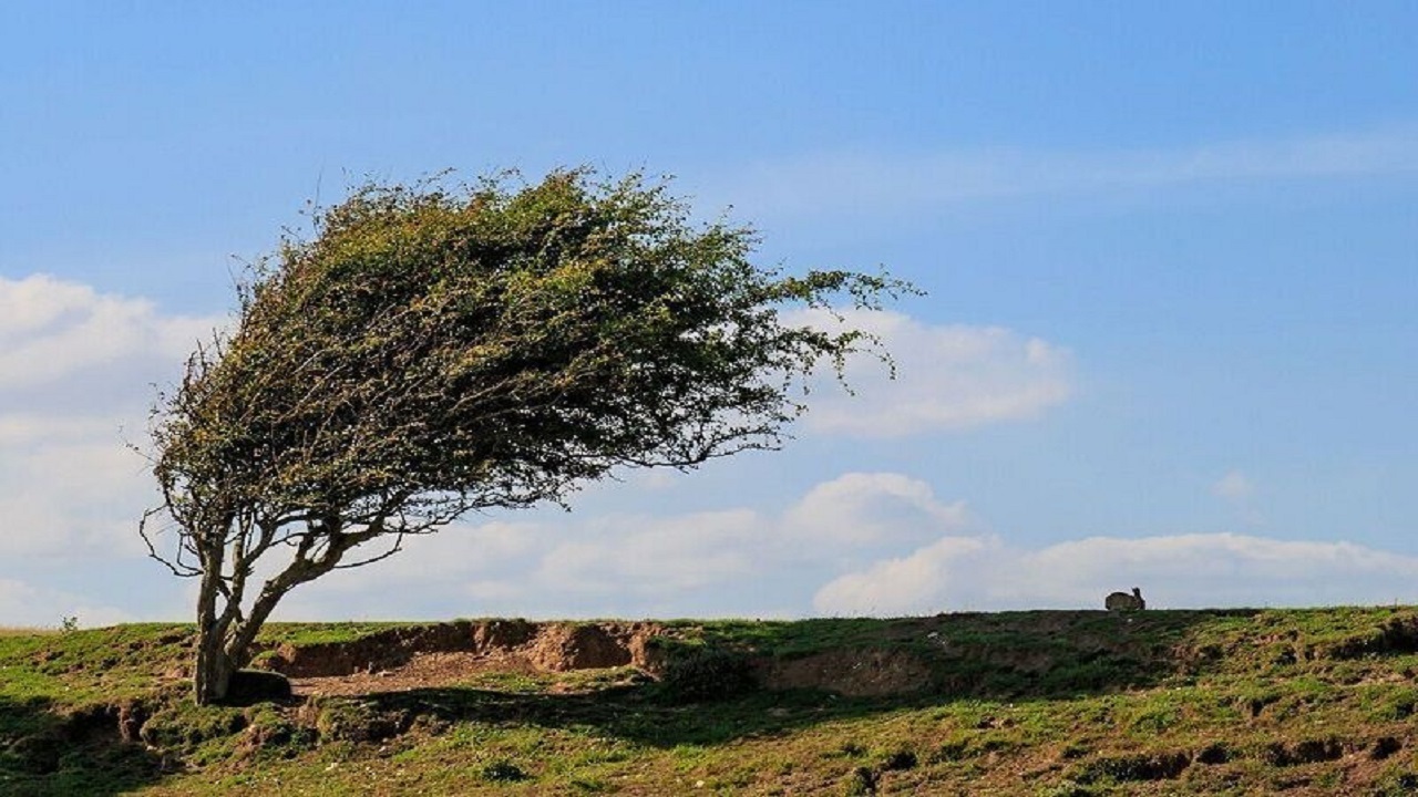 وزش باد در خراسان رضوی شدت می گیرد