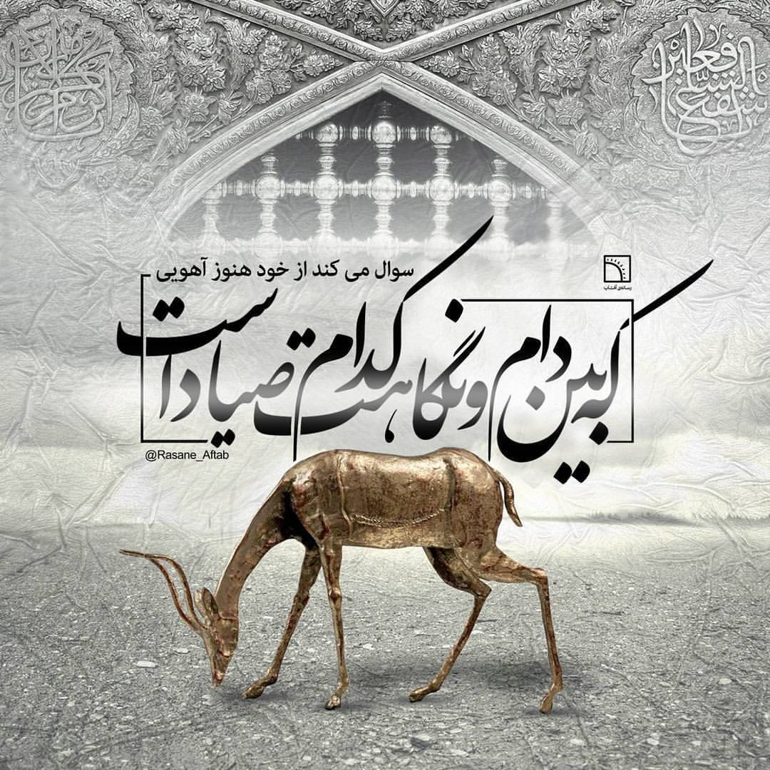 مِهر حضرت رضا(ع)، ضامن آهوان سرزمینش شده است/ خراسان رضوی دومین زیستگاه آهوان در کشور